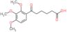 6-oxo-6-(2,3,4-trimethoxyphenyl)hexanoic acid