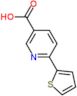 6-(2-Thienyl)-3-pyridinecarboxylic acid