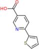 6-(thiophen-2-yl)pyridine-3-carboxylic acid