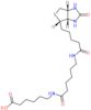6-{[6-({5-[(3aS,4S,6aR)-2-oxohexahydro-1H-thieno[3,4-d]imidazol-4-yl]pentanoyl}amino)hexanoyl]amino}hexanoic acid