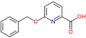 6-benzyloxypyridine-2-carboxylic acid