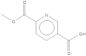 2-METHYL HYDROGEN PYRIDINE-2,5-DICARBOXYLATE