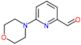 6-morpholin-4-ylpyridine-2-carbaldehyde