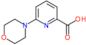 6-(morpholin-4-yl)pyridine-2-carboxylic acid