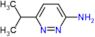 6-isopropylpyridazin-3-amine