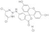 6-((4,6-dichlorotriazin-2-yl)amino)*fluorescein H