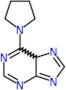 6-(pyrrolidin-1-yl)-5H-purine