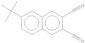 6-(1,1-Dimethylethyl)-2,3-naphthalenedicarbonitrile