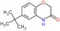 6-tert-butyl-2H-1,4-benzoxazin-3(4H)-one