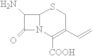 (6R,7R)-7-Amino-3-ethenyl-8-oxo-5-thia-1-azabicyclo[4.2.0]oct-2-ene-2-carboxylic acid