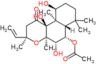 Isoforskolin