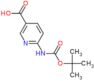 6-[(tert-butoxycarbonyl)amino]pyridine-3-carboxylic acid