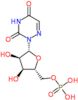 2-(5-O-phosphono-beta-D-ribofuranosyl)-1,2,4-triazine-3,5(2H,4H)-dione