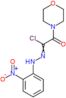 2-morpholin-4-yl-N-(2-nitrophenyl)-2-oxoethanehydrazonoyl chloride