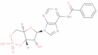 N6-benzoyladenosine 3':5'-cyclic*monophosphate fr