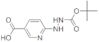 acido 6-[2-(tert-butossicarbonil)idrazinil]nicotinico