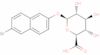 6-bromo-2-naphthyl B-D-glucuronide