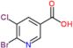 6-bromo-5-chloropyridine-3-carboxylic acid