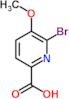 6-bromo-5-methoxypyridine-2-carboxylic acid