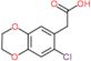 2-(7-chloro-2,3-dihydro-1,4-benzodioxin-6-yl)acetic acid