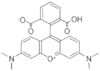 6-Carboxytetramethylrhodamine