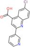 6-chloro-2-pyridin-3-ylquinoline-4-carboxylic acid