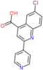 6-chloro-2-pyridin-4-ylquinoline-4-carboxylic acid