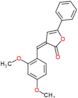 (3Z)-3-(2,4-dimethoxybenzylidene)-5-phenylfuran-2(3H)-one