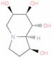 1,6,7,8-Indolizinetetrol, octahydro-, (1S,6R,7R,8R,8aR)-