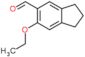 6-ethoxy-2,3-dihydro-1H-indene-5-carbaldehyde