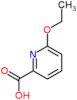 6-ethoxypyridine-2-carboxylic acid