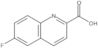 6-Fluoro-2-quinolinecarboxylic acid