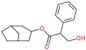 Anisodamine