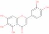 6-hydroxyluteolin