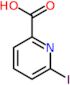6-iodopyridine-2-carboxylic acid