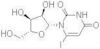 6-iodo-uridine