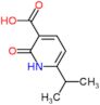 2-oxo-6-(propan-2-yl)-1,2-dihydropyridine-3-carboxylic acid