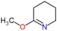 6-methoxy-2,3,4,5-tetrahydropyridine