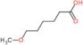 6-methoxyhexanoic acid