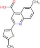 6-methyl-2-(5-methylthiophen-2-yl)quinoline-4-carboxylic acid