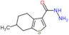 6-methyl-4,5,6,7-tetrahydro-1-benzothiophene-3-carbohydrazide