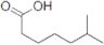 6-methylheptanoic acid