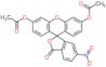 3′,6′-Bis(acetyloxy)-6-nitrospiro[isobenzofuran-1(3H),9′-[9H]xanthen]-3-one