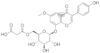 6'-O-MALONYLGLYCITIN