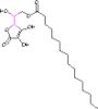 Ascorbyl palmitate