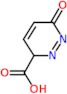 6-oxo-3H-pyridazine-3-carboxylic acid