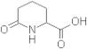 6-Oxo-piperidine-2-carboxylic acid