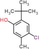 2-tert-butyl-4-chloro-5-methylphenol