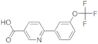 6-(3-Trifluormethoxyphenyl)-Nicotinsäure