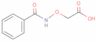 [(benzoylamino)oxy]acetic acid